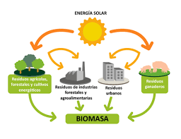 (ENAE010PO) ENERGÍAS RENOVABLES;ESPECIALIDAD BIOMASA