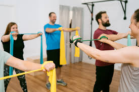 ENTRENAMIENTO DE LA FUERZA