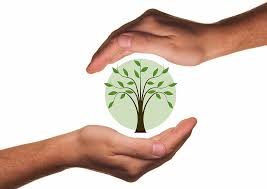 SENSIBILIZACIÓN AMBIENTAL