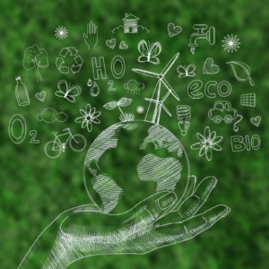 (MCR0007) Gestión ambiental
