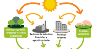 Biomasa