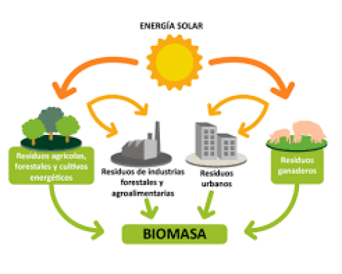 Biomasa Biomasa