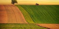 agric
