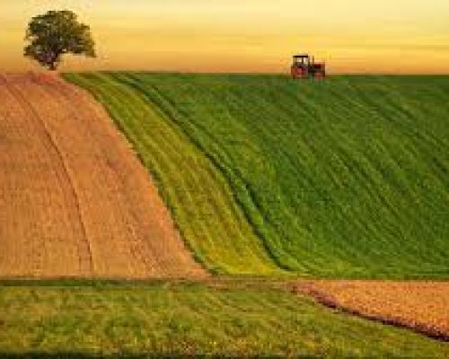 agric agric