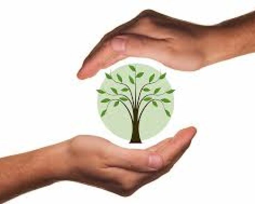 gestion amb gestion amb
